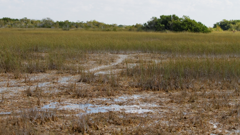 02 - Everglade NP (21).jpg